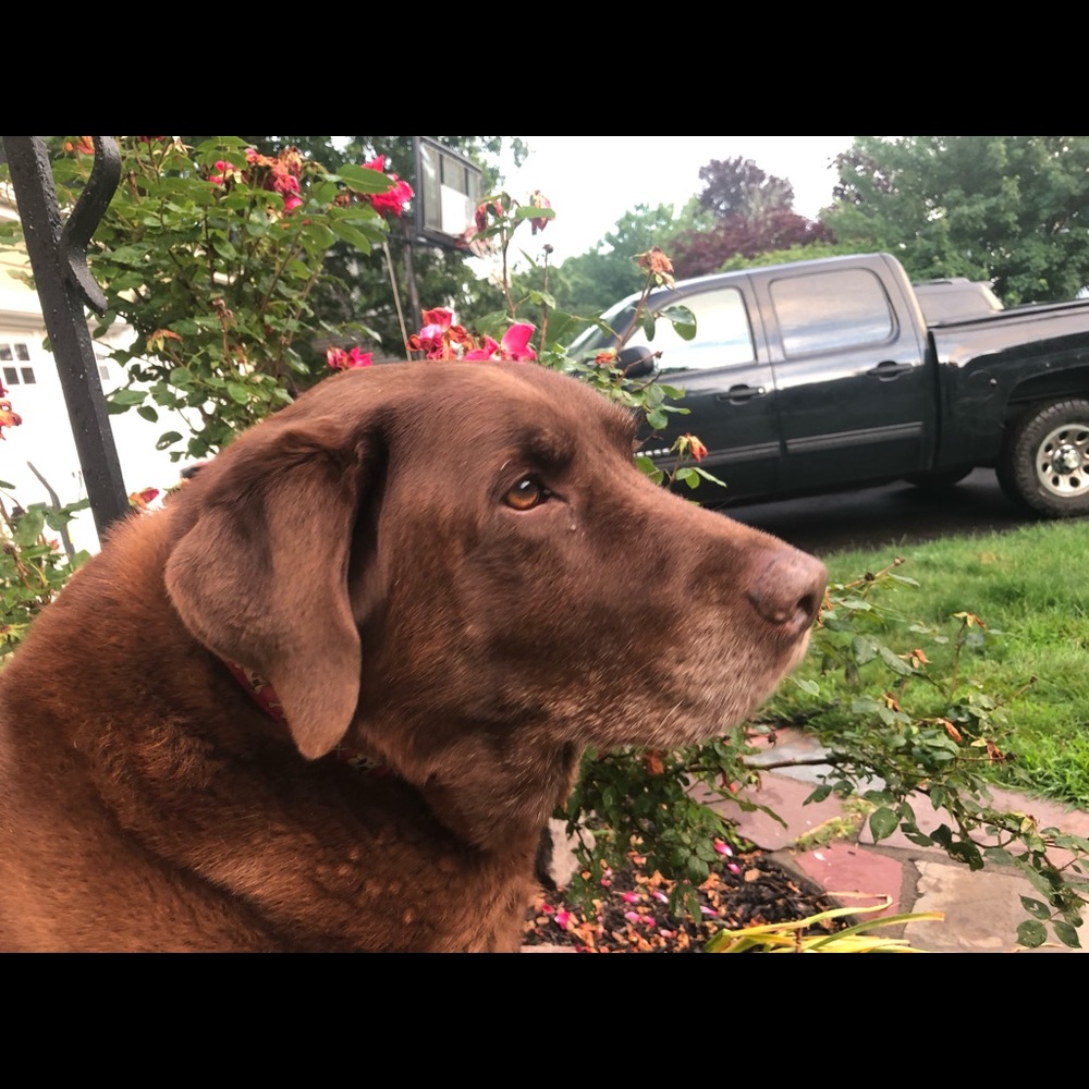 Meet your Posher, Mary jane